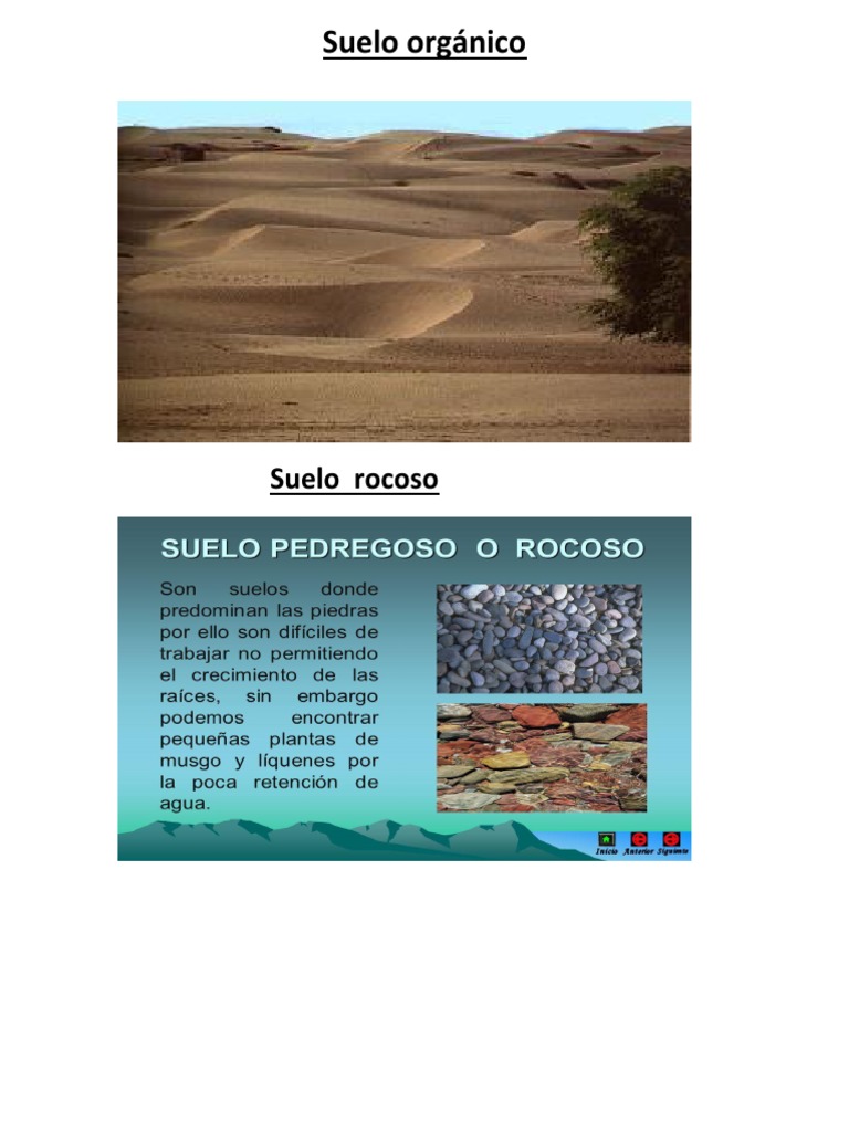 Suelo Rocoso | PDF