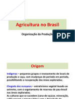 07. Agricultura No Brasil.2017