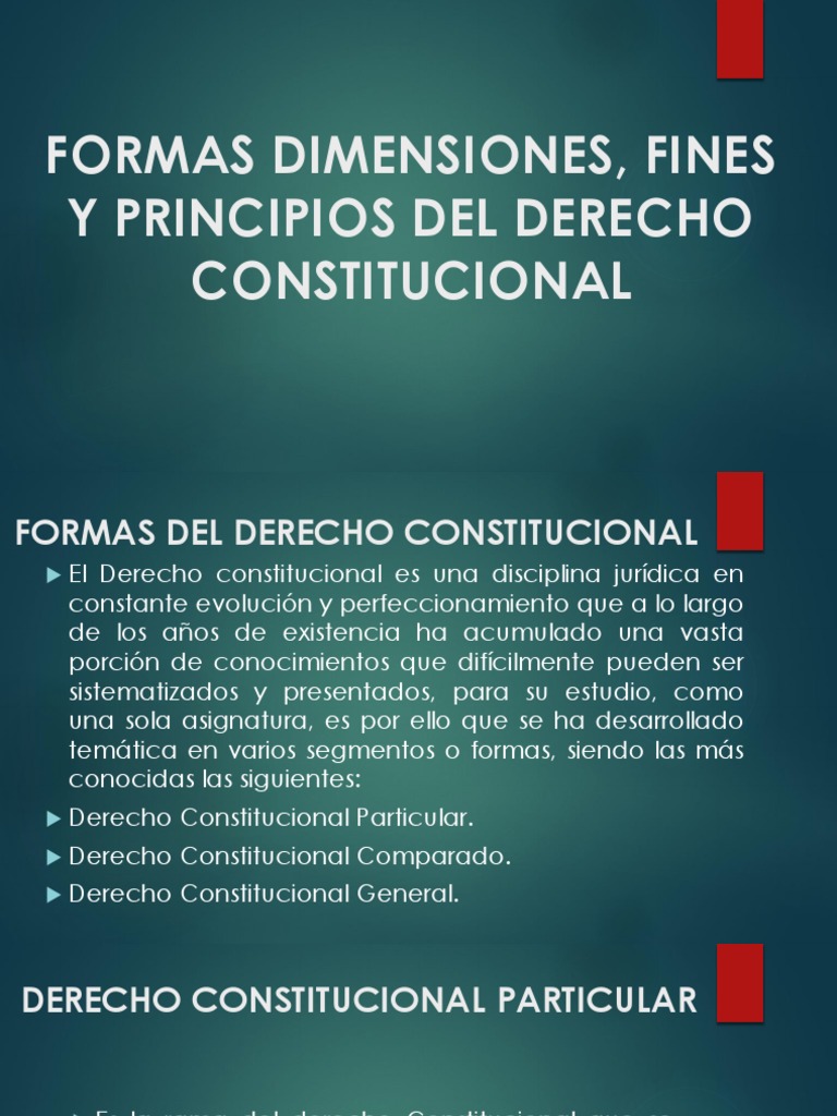 Formas y Principios del Derecho Constitucional | PDF | Ciencias ...