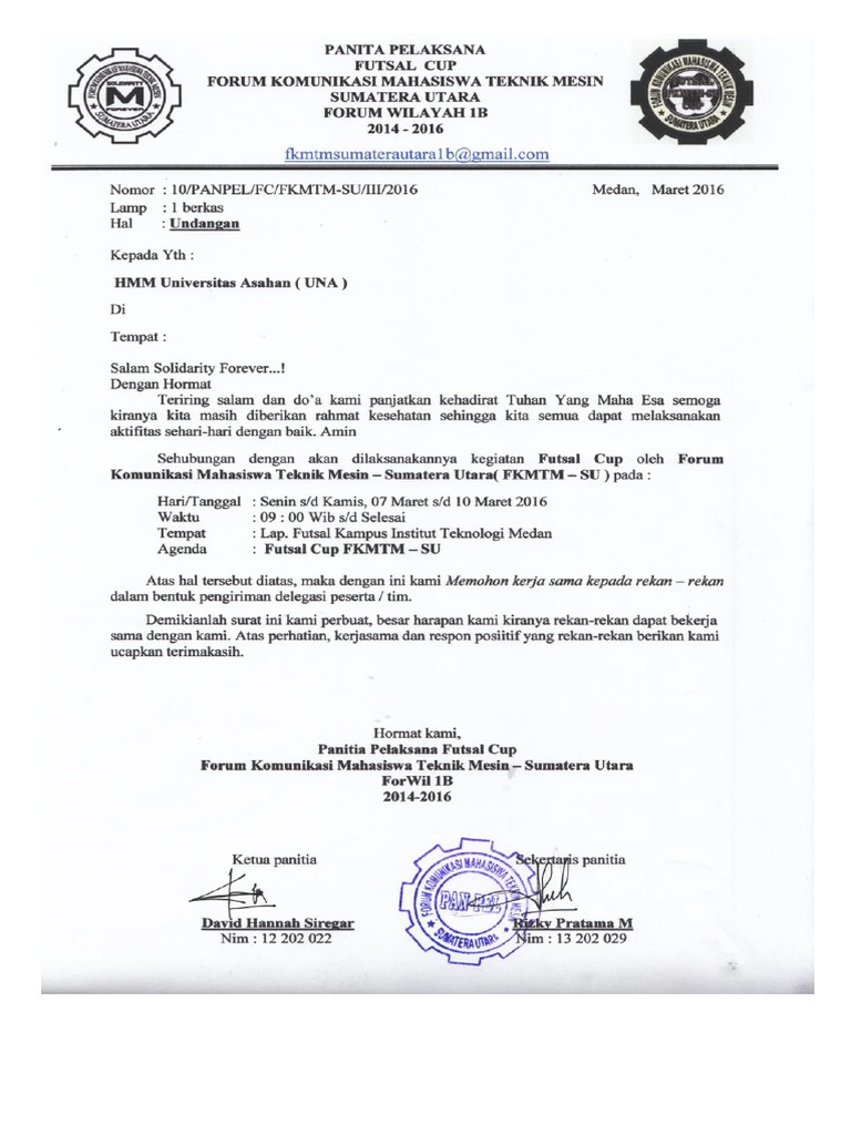 Semiz ayollarning katta mushuklari