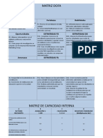 Formatos Matriz Dofa