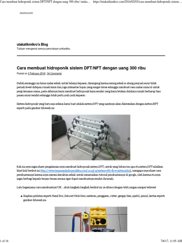 Hidroponik DFT/NFT dengan 300 Ribu | PDF