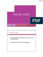 BIO20 - Nucleic Acids