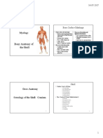 Skull Anatomy PDF