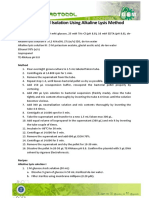 DNA Plasmid Isolation