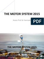 The Motor System 2015