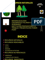 Recursos Naturales.pdf