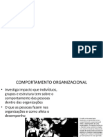 Fundamentos comportamento Individual