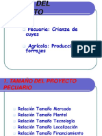 Proyecto Cuyes II