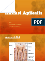 Apical Infection