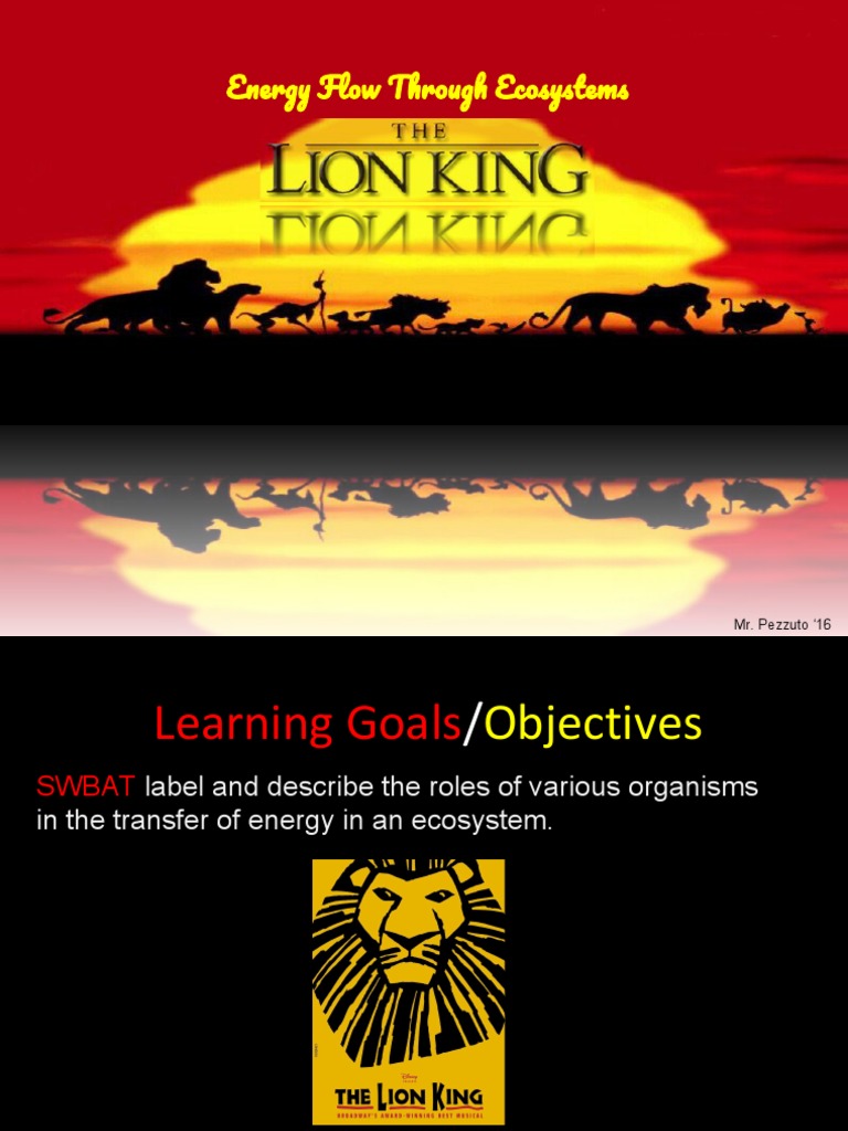 lion king food web pptx | Food Web | Ecosystem