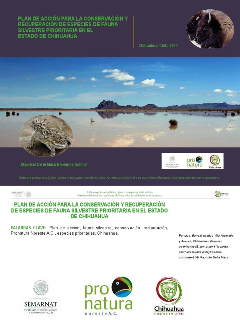 Plan de acción para la conservación y recuperación de especies de fauna ...