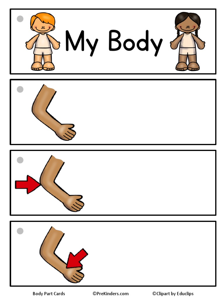 Body Part Word Cards Blank | PDF | Self-Improvement