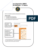 Primer Ensayo Simce Lenguaje