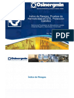 OS-Tema3 - IndicesRiesgos, STE, ProtCatod.pdf