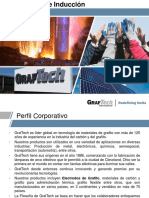 Perfil Corporativo GrafTech PDF