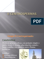 II Centrospermas