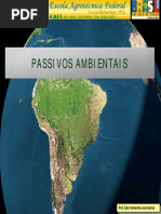 Passivos ambientais.pdf