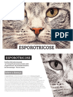 Esclarecendo sobre a esporotricose