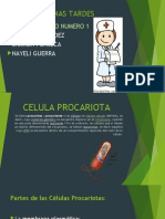 Biologia Exposicion