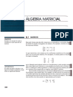 Algebra Matricial PDF