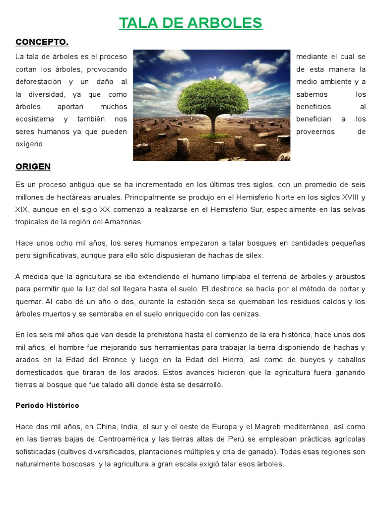 Tala de Arboles | PDF | Deforestación | Los bosques