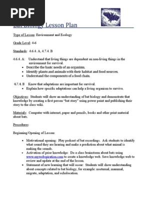 Bat Lesson Plan