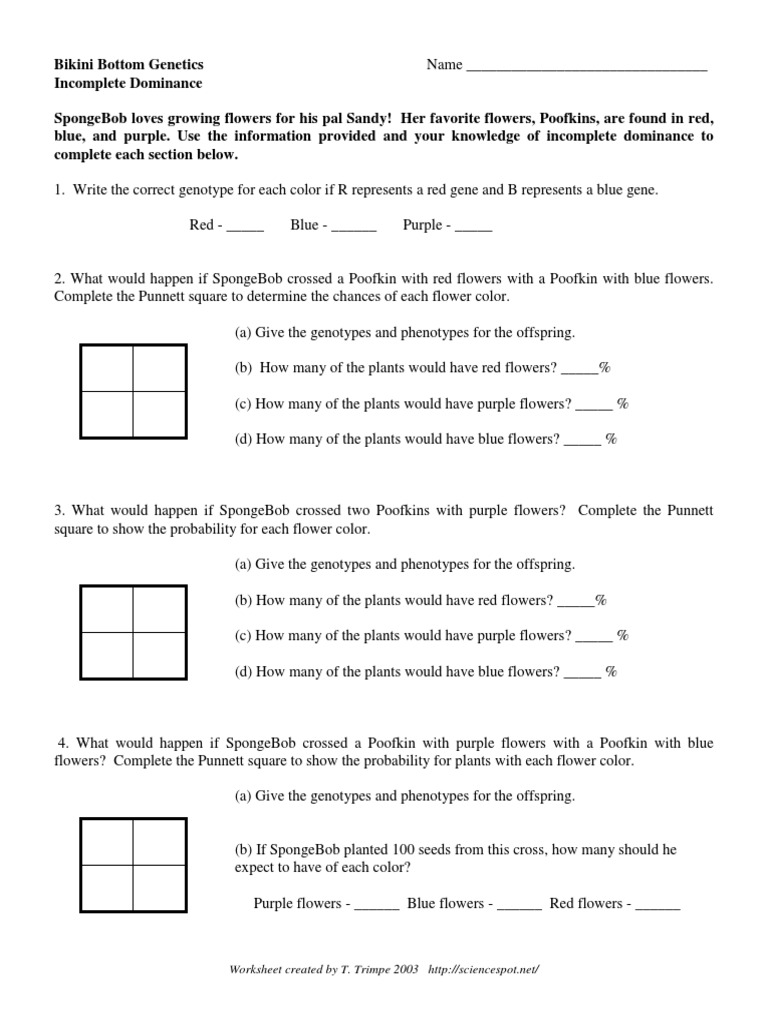 worksheet Dihybrid Punnett Square Worksheet workbooks punnet square worksheets free printable for spongebob punnett worksheet phoenixpayday com