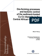 Ore-Forming Processes and Tectonic-Control of The Sdiment-Hosted Cu-Co Deposits in The Central Afican Copperbelt