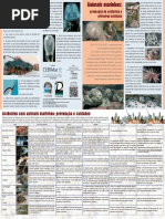 Acidentes Com Animais Marinhos