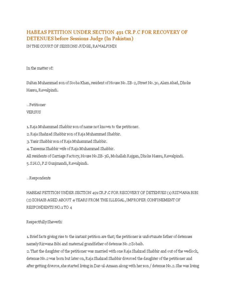 491 | PDF | Affidavit | Child Custody