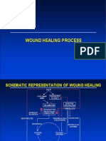 Wound Healing