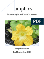 Pumpkins: More Than Pies and Jack-O-Lanterns