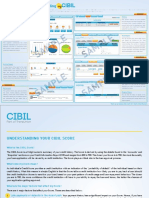 mycibil-understanding-cir.pdf