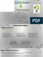 EXPOSICIÓN DE AGRONEGOCIOS BIOCOMBUSTIBLE.pptx