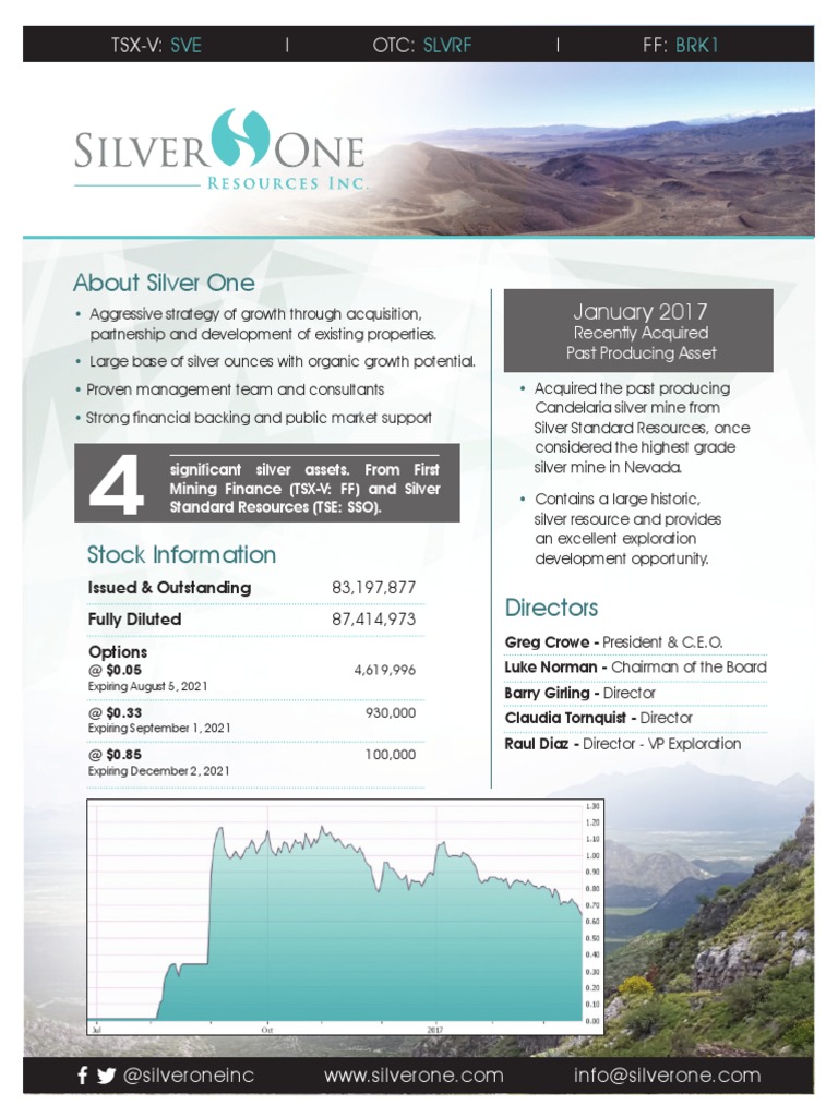 Silver One's Silver Asset Overview | PDF | Economic Geology | Mining