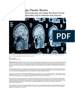 Our Amazingly Plastic Brains