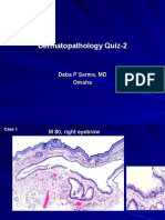  Dermatopathology Quiz 2. 
