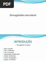 roteirodeanatomiadescritivaetopografica