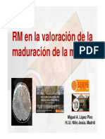 02-rm en La Valoración de La Maduración de La Mielina PDF