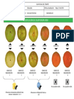 Guía Visual Grados de Maduracion Del Tomate A.V