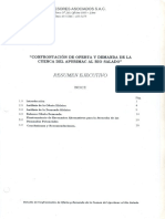 resumen_ejecutivo_bh_0_0.pdf