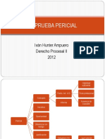 La Prueba Pericial