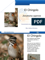 El Chingolo1