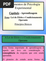 leidoefeito-130109230541-phpapp01