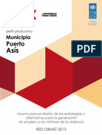 perfil_productivo_puerto_asis.pdf