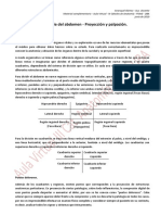 Anatomia de Superficie Del Abdomen - Aula Virtual PDF