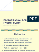 3-factor-comun-y-agrupacion-ckr.pdf