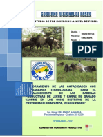Estudio de Pre-Inversión, Vacunos Oxapampa - Gobierno Regional Pasco