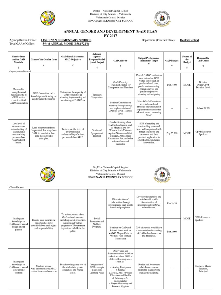 gad-plan-fy-2017-gender-and-development-gender
